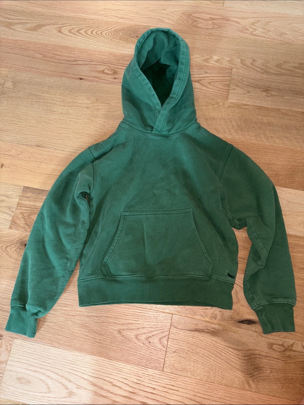 Aritzia hoodie
